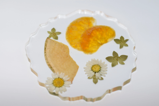 Posavasos de resina de frutos secos y flores