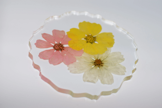 Posavasos de resina de frutos secos y flores
